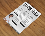 Real Estate Commission Sheet Listing Presentation Real Estate Commission Sheet Template Real Estate Template Real Estate Canva Realtor Flyer Template for Canva