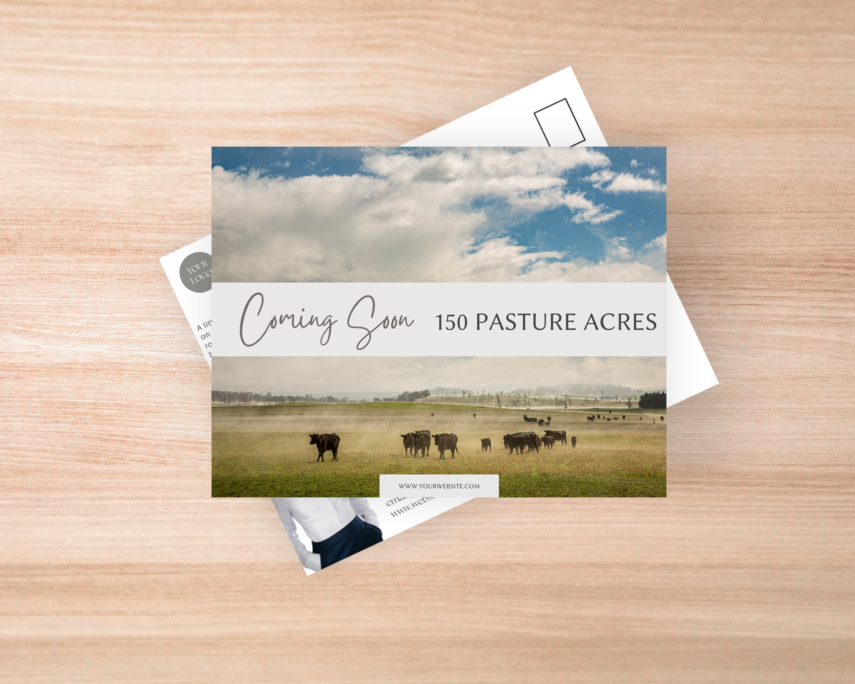 Real Estate Template – Postcard 8